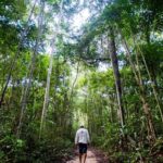 Câmara dos Deputados aprova projeto que regulamenta produção de hidrogênio verde