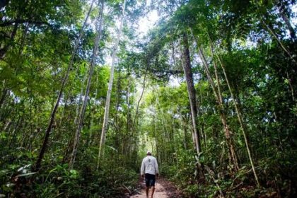 Câmara dos Deputados aprova projeto que regulamenta produção de hidrogênio verde