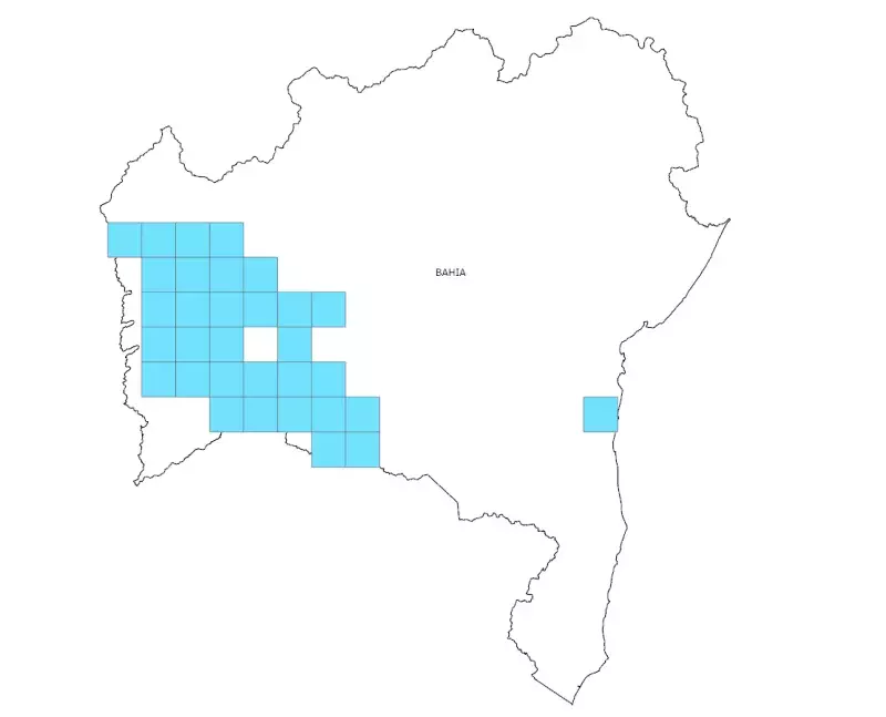 Pesquisa mineral: SGB e CBPM divulgam 32 cartas de anomalias do projeto FIOL