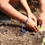 Prevista na Constituição, educação ambiental precisa de mais efetividade nas escolas, apontam pedagogos