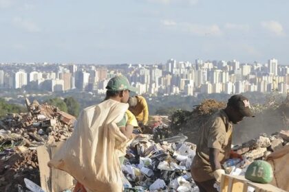 Recircula Brasil: plataforma permite rastrear reutilização do plástico