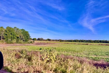 Tocantins terá polo de agricultura irrigada