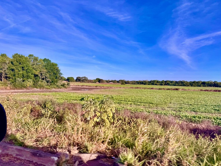 Tocantins terá polo de agricultura irrigada