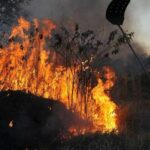 MIDR aprova R$ 11,7 milhões para ações de defesa civil na Amazônia