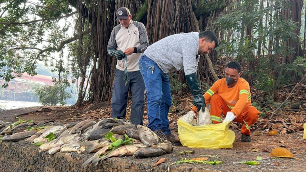 Pescadores do Rio Piracicaba recebem apoio após nova mortandade de peixes