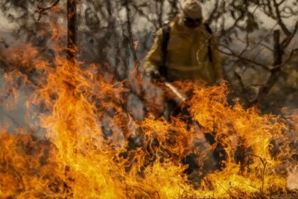 Previsão de risco elevado para incêndios neste fim de semana