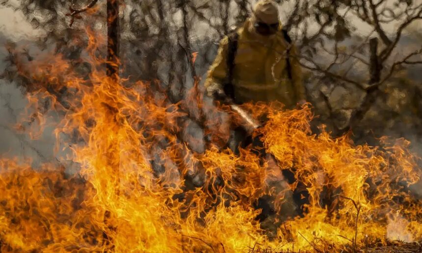 Previsão de risco elevado para incêndios neste fim de semana