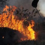 Brasil tem aumento de 107% nos focos de incêndios florestais