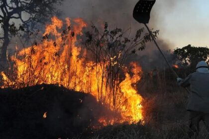 Brasil tem aumento de 107% nos focos de incêndios florestais