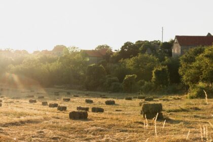 Declaração do Imposto Territorial Rural: prazo vai até 30 de setembro