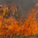 Pantanal: Condições especiais de crédito para prevenção de incêndios e recuperação de áreas