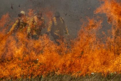 Pantanal: Condições especiais de crédito para prevenção de incêndios e recuperação de áreas