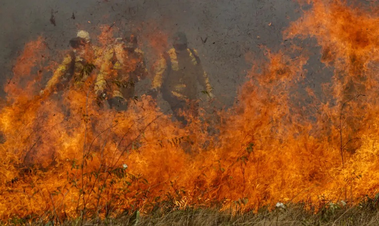 Pantanal: Condições especiais de crédito para prevenção de incêndios e recuperação de áreas