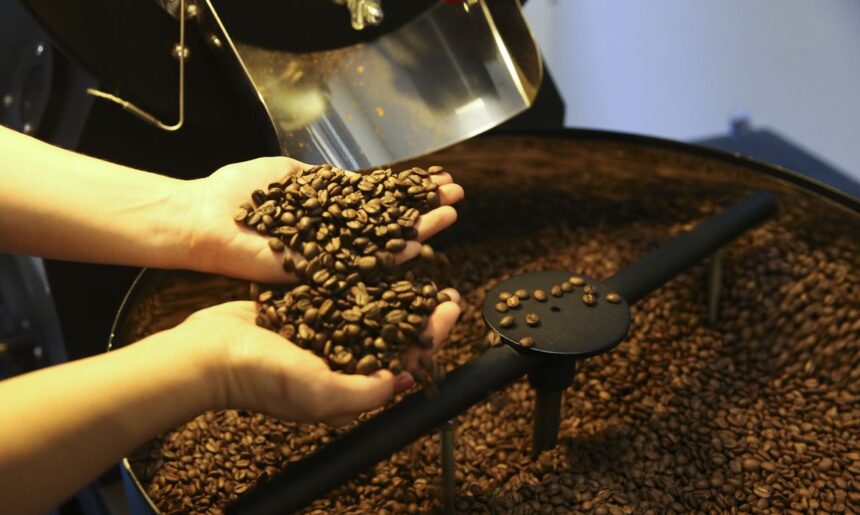 Preços do café robusta e arábica subiram no início desta semana