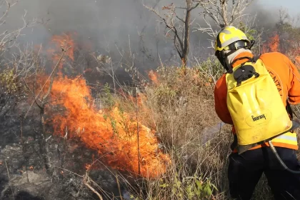 QUEIMADAS: Brasil registra 184 mil focos; estados atuam no combate aos incêndios