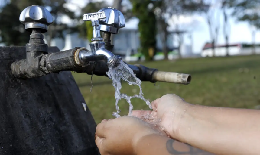 88% da população adota medidas de conservação do meio ambiente, aponta pesquisa