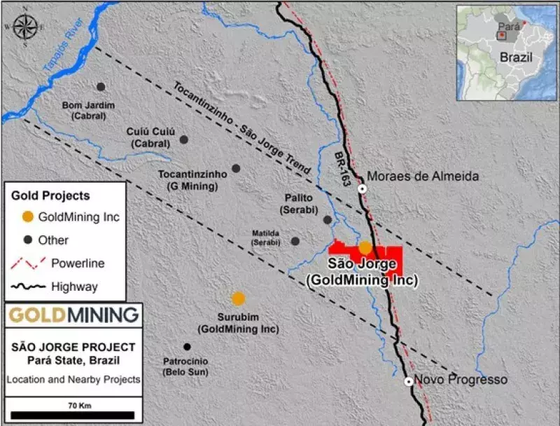 Ouro: GoldMining descobre mineralização de ouro e cobre na região do Tapajós (PA)