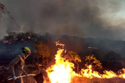 PGR aciona Supremo sobre constitucionalidade de lei goiana que endurece penas para crime ambiental