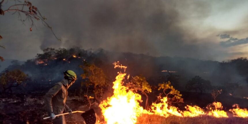 PGR aciona Supremo sobre constitucionalidade de lei goiana que endurece penas para crime ambiental