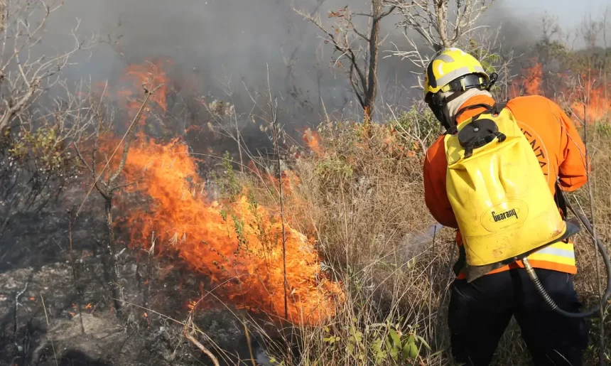 Queimadas: FPA alerta para impacto do Decreto 12.189/2024 sobre produtores rurais