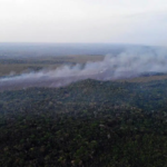 Comissão de Meio Ambiente aprova projeto para prevenir incêndios na Amazônia