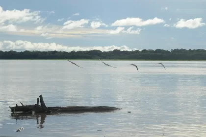 Auxílio Extraordinário: mais pescadores artesanais da Região Norte terão direito ao benefício