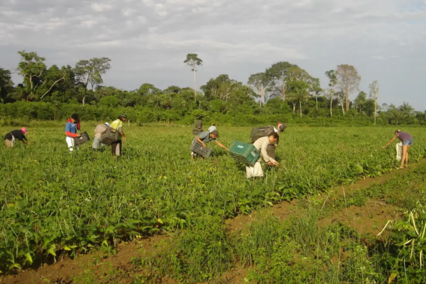 Segurança no campo: delegacias especializadas em conflitos agrários aprovadas em Comissão