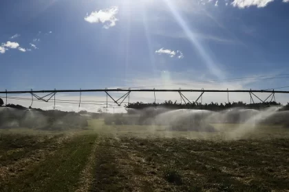 Safra 2025: IBGE prevê 322,6 milhões de toneladas, com crescimento de 10,2% frente a 2024