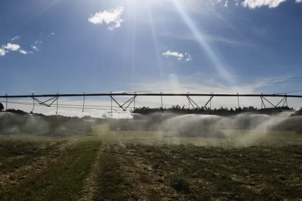 Safra 2025: IBGE prevê 322,6 milhões de toneladas, com crescimento de 10,2% frente a 2024