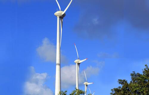 Sustentabilidade: Projetos que visam preservação ambiental podem contar com linhas de crédito oferecidas pelo BASA