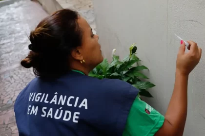 Dengue: associação revela aumento dos casos e alerta sobre prevenção no Carnaval