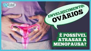 Dr. Ajuda: como os ovários envelhecem? Devo fazer reposição hormonal?
