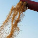 Soja recua 0,75% em Paranaguá (PR)