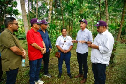 Amapá: Waldez Góes visita produtores de açaí e destaca importância do microcrédito