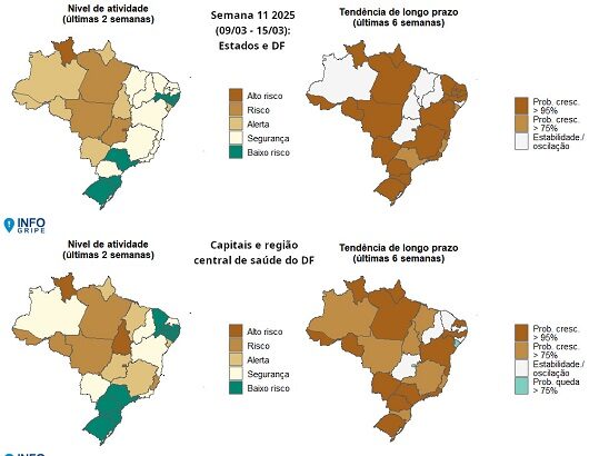 InfoGripe: 12 das 27 unidades federativas apresentam incidência de SRAG em nível de alerta