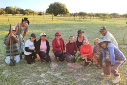 MIDR apoia projeto para restauração ambiental no semiárido