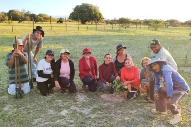 MIDR apoia projeto para restauração ambiental no semiárido