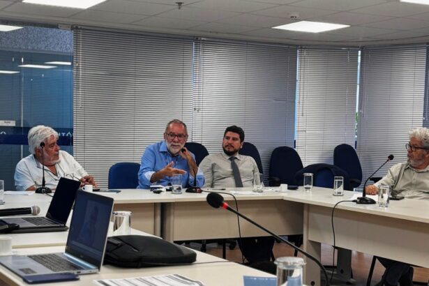 Descentralização do crescimento econômico é tema de painel apresentado pelo MIDR no IPEA
