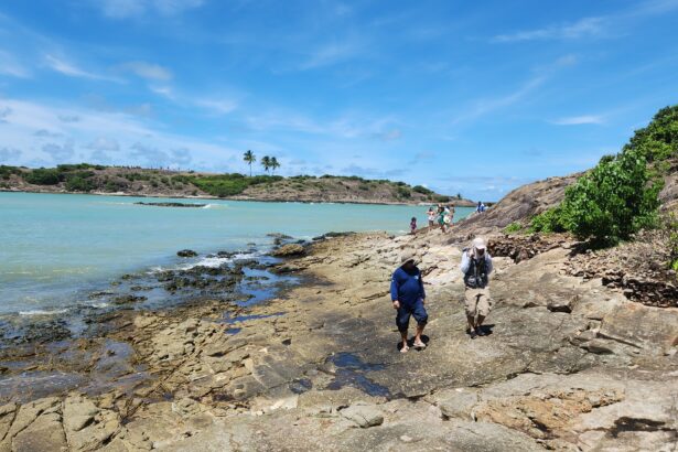 Pesquisa mineral: SGB lança Mapa Geológico da bacia de Alagoas