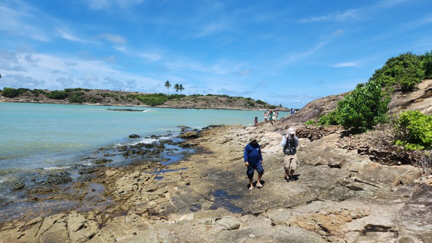 Pesquisa mineral: SGB lança Mapa Geológico da bacia de Alagoas