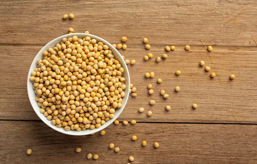 Soja começa a quarta-feira (9) com queda no preço, no Paraná