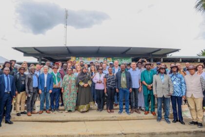 Brasil inspira África com tecnologias para transformar o semiárido em polo produtivo