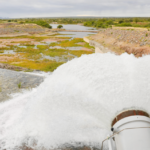 Irrigação com águas do PISF garante estabilidade a agricultores de Terra Nova (PE)