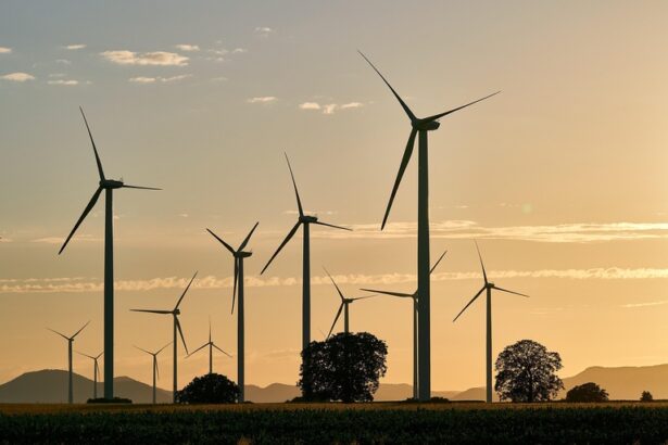 Projetos de energia renovável no Nordeste impulsionam desenvolvimento com apoio do FDNE