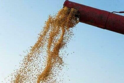 Soja começa a semana com qualta no preço