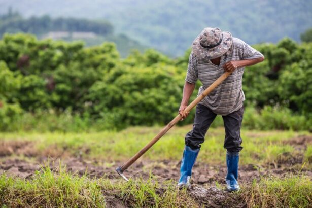 Agronegócio inicia 2025 com maior saldo de empregos formais desde 2022
