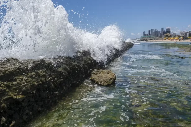 Câmara aprova Lei do Mar com foco em uso sustentável e combate à pesca ilegal