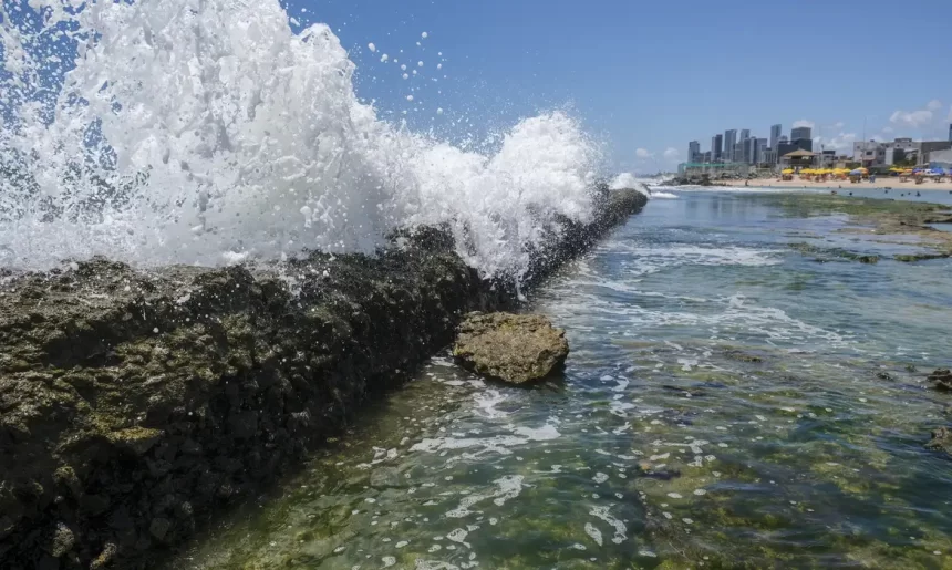 Câmara aprova Lei do Mar com foco em uso sustentável e combate à pesca ilegal