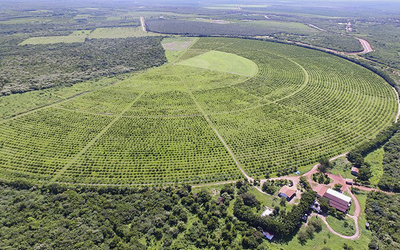 Dia do Agricultor: Polos de Agricultura Irrigada avançam e fortalecem o trabalho agrícola
