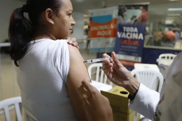 SÃO PAULO (SP): Público prioritário deve procurar unidades de saúde para vacinação contra gripe